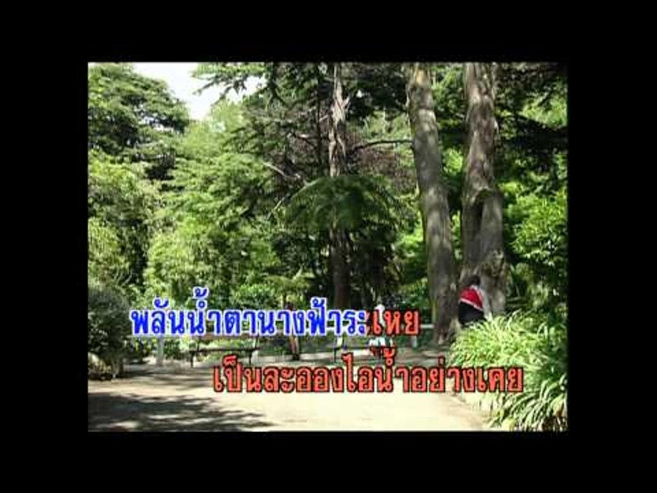 หยาดน้ำฝนหยดน้ำตา - สุเทพ วงศ์กำแหง (KARAOKE)