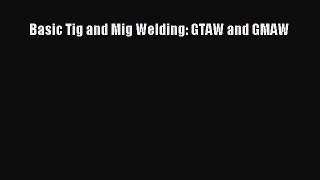 Download Basic Tig and Mig Welding: GTAW and GMAW Ebook Online