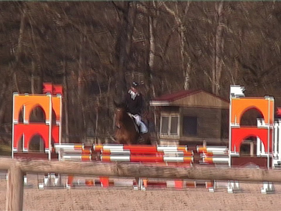 carton plein 1er CCE JChvx fbleau 2016-03-14