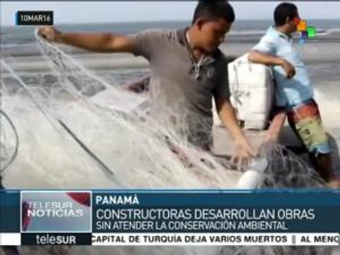 Panamá: ecologistas advierten que constructoras devastan ecosistemas