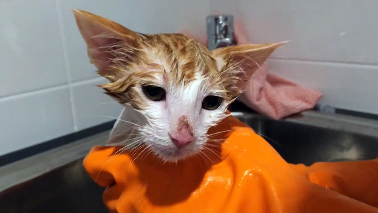 Bath time