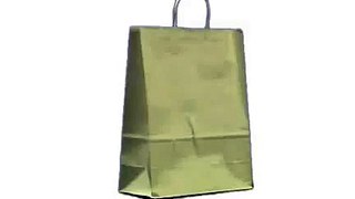 Ivory Paper Carrier Bags with Twisted Handles