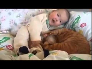 The sweetest couple ever cat and baby cuddle together