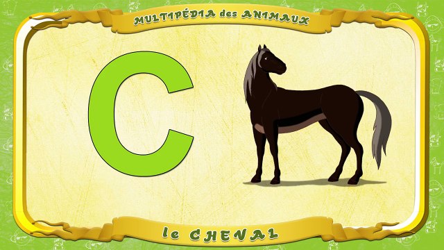 Multipédia des animaux. La lettre C le Cheval