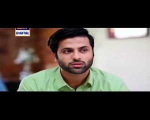 Gudiya Rani Episode 179 on Ary Digital P2