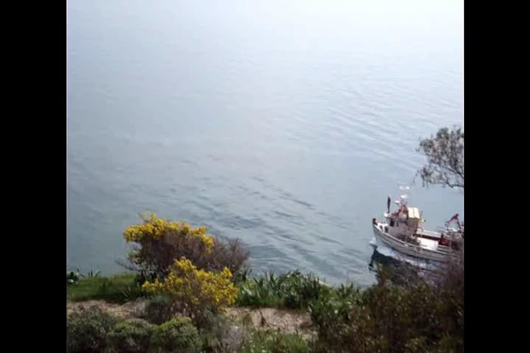 Amazing fishermen catched 300 kg of fishes in 10 minutes