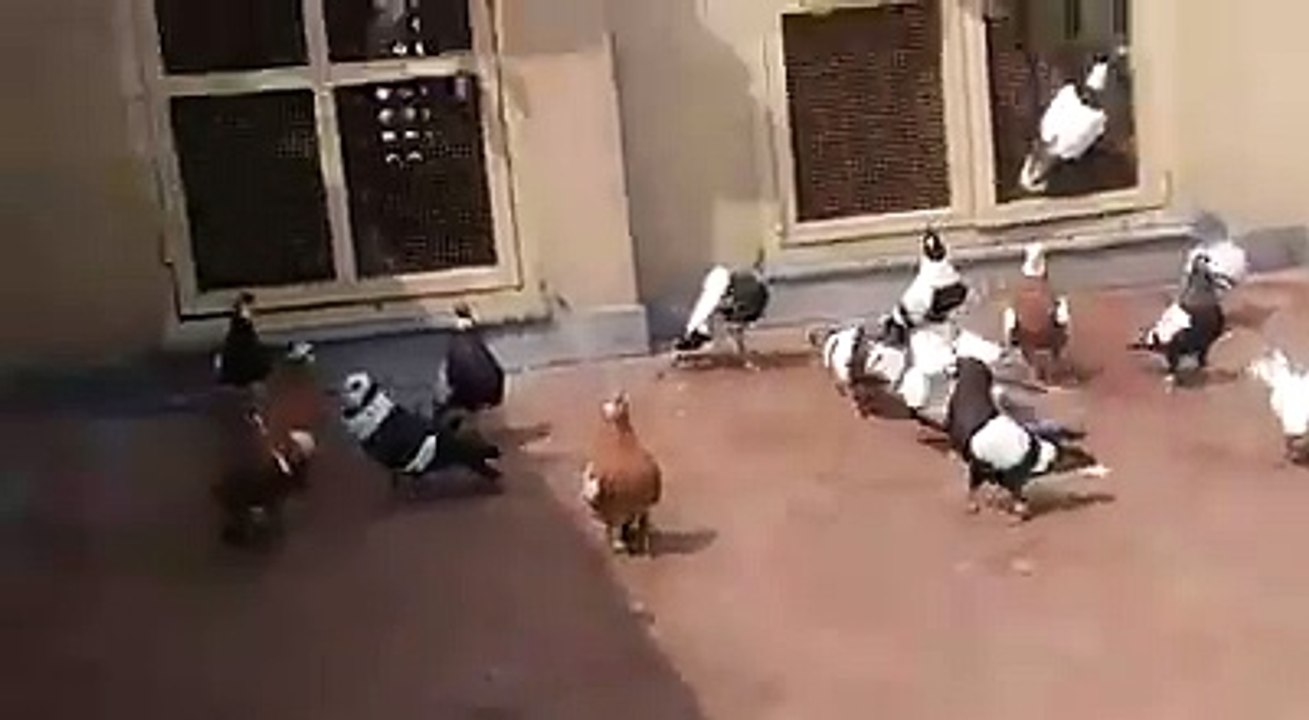rrr