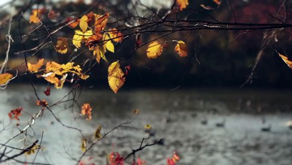 Follow the Rules | ‘Teach a Man to Fish Official Bonus Clip (Episode 10) | MTV