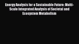 Read Energy Analysis for a Sustainable Future: Multi-Scale Integrated Analysis of Societal