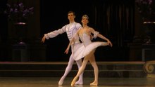 The Sleeping Beauty (III) - Viktoria Tereshkina, Vladimir Shklyarov 12.03.2016