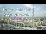 Farmane Mustafa Hai Ye Ummat Ke Waste || HD New Naat Sharif || Anjan Shayar