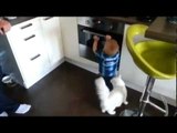 Cat stops baby from opening oven