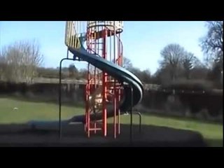 Dog playing on the slide