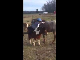 There is more than one way to mount a pony
