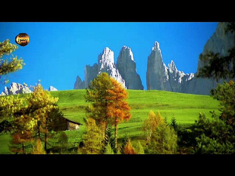 الولي : (حبيب عباد الصالحين)