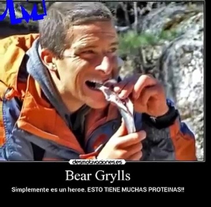 Muere Bear Grylls presentador de A prueba de todo | dead Bear Grylls