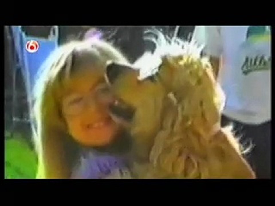 CATS   DOGS SPECIAL (2) Funniest Home Videos part 224