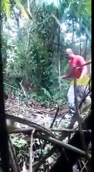 Bombeiro se assusta com onça