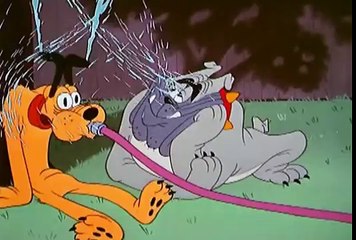 Desenhos Clássicos Disney, Pluto, PLUTOS HEART THROB, Mickey, ep45 3
