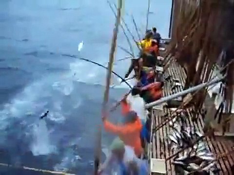 Вот это #рыбалка! Просто нет слов Смотрите сами!