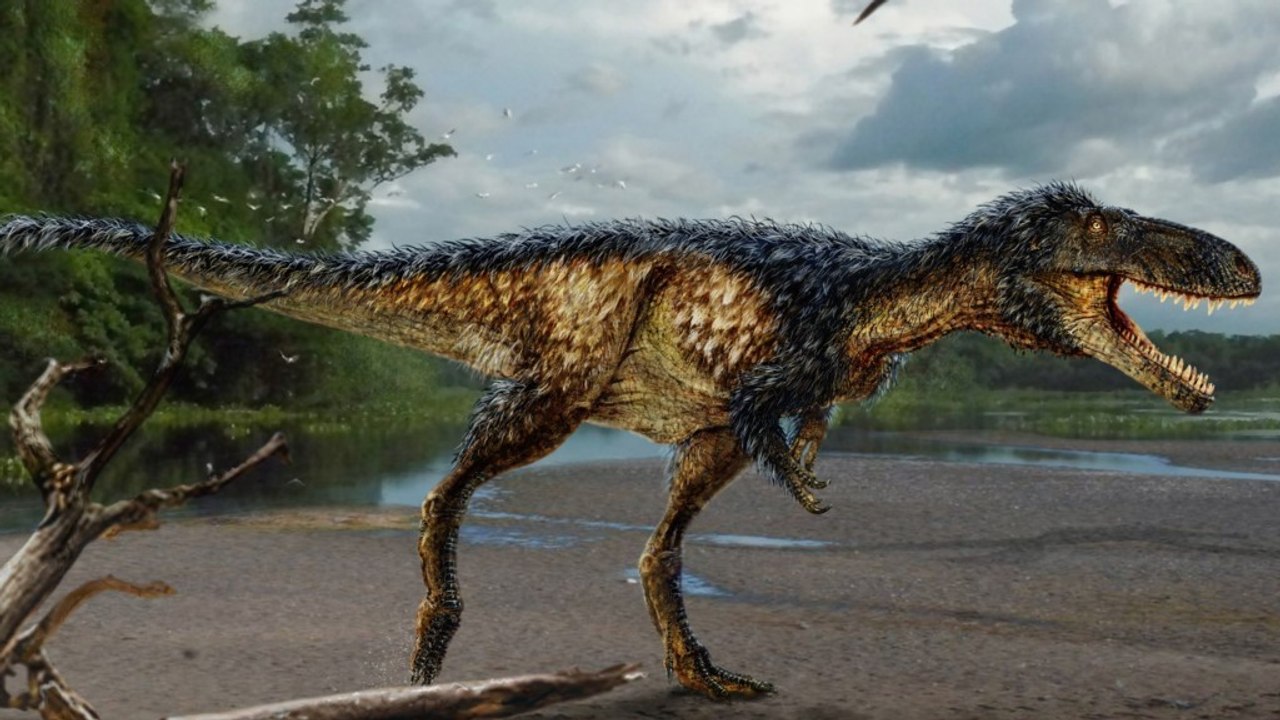 What the new dinosaur reveals about the T. rex