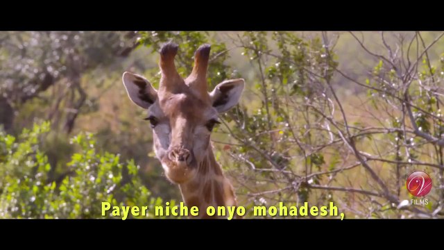 Chander Pahar | Title Song with Lyrics | Dev | Kamaleswar Mukherjee | Indraadip Dasgupta | Arijit