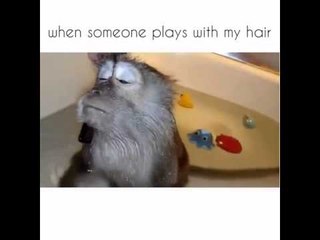 When some one play with my hair..