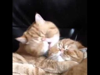 This Must Be What They Say You Eat Your Face