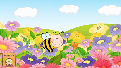 10 Popüler Çocuk Şarkısı Bir Arada