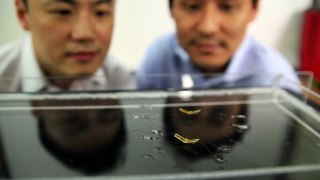 Scientists develop creepy insect like robot that can jump on water