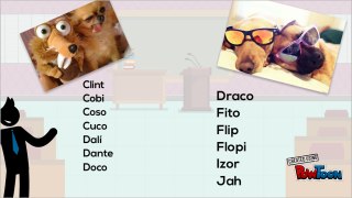Nombres cortos para perros machos