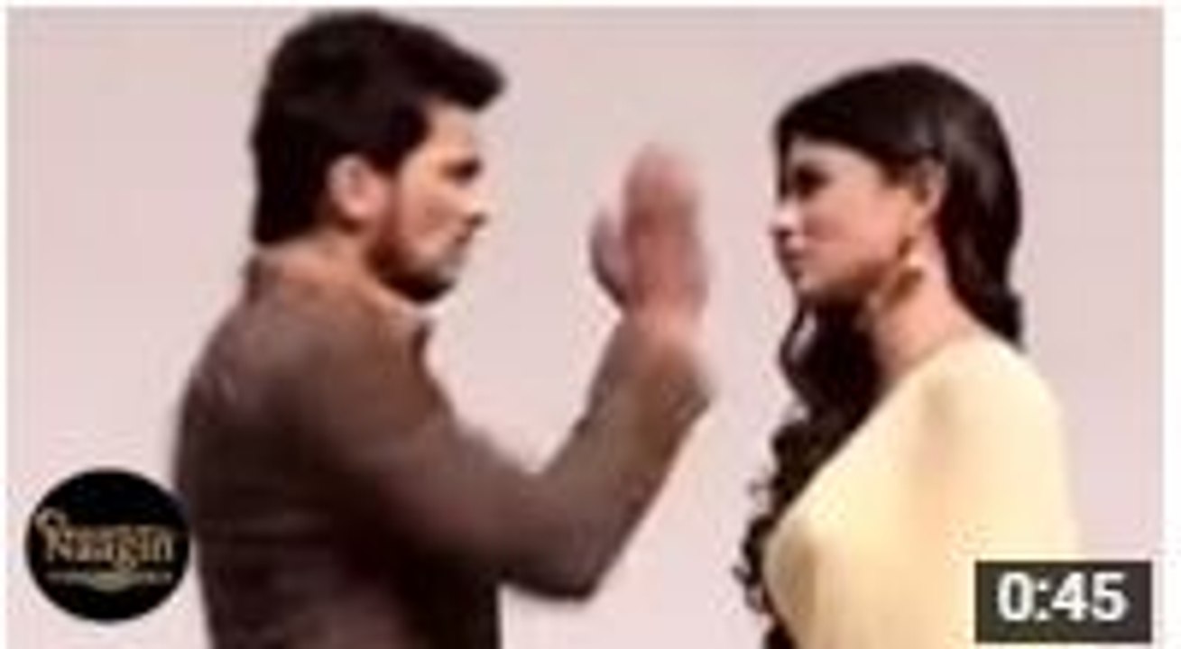 Naagin 15th March 2016  Shesha ki Vajah se Ritik SLAPS Shivanya