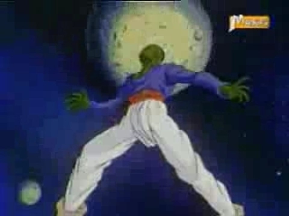 DBZ dedicasse pour YAC!