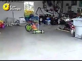 Some People are just Born to Be Cool