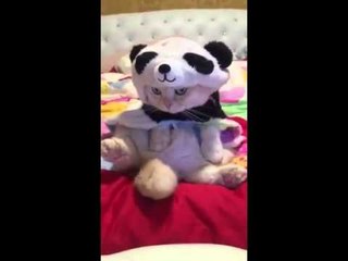 The cutest videos on the internet right now!