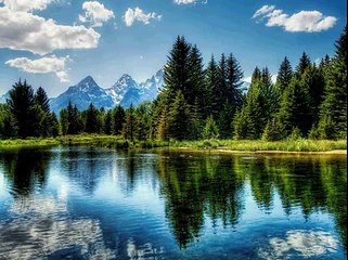 لينا ويا لينا .فاتن