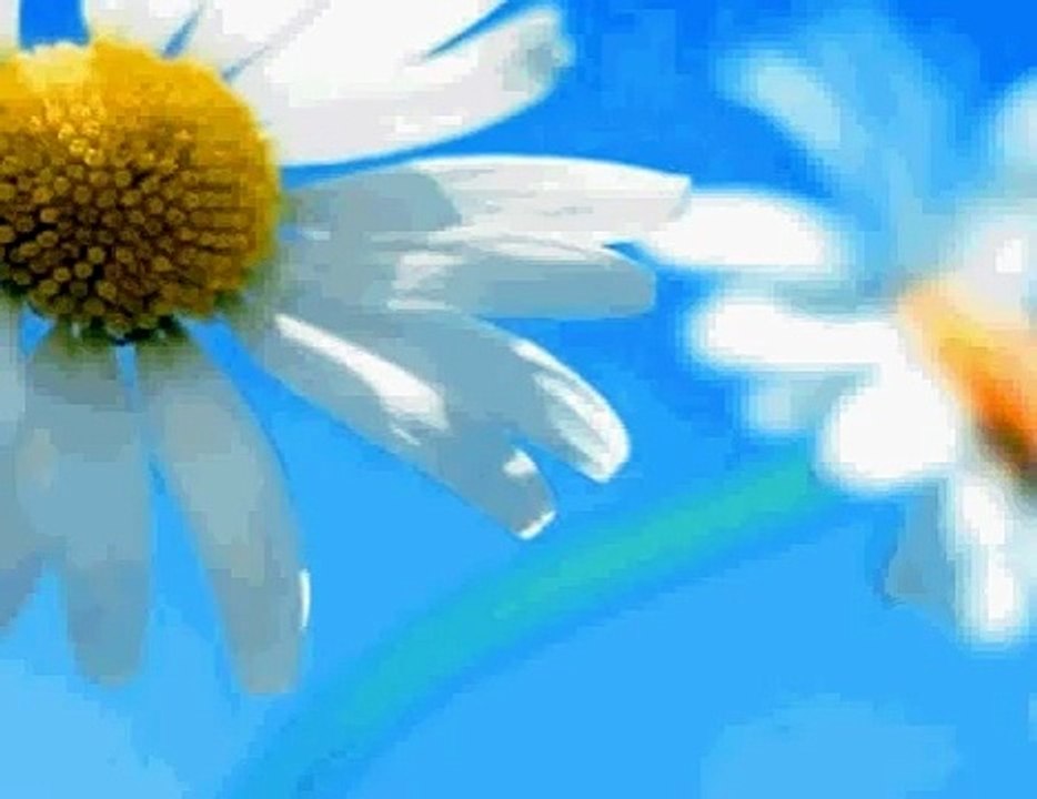 شرح برنامج TechSmith Camtasia Studio 8