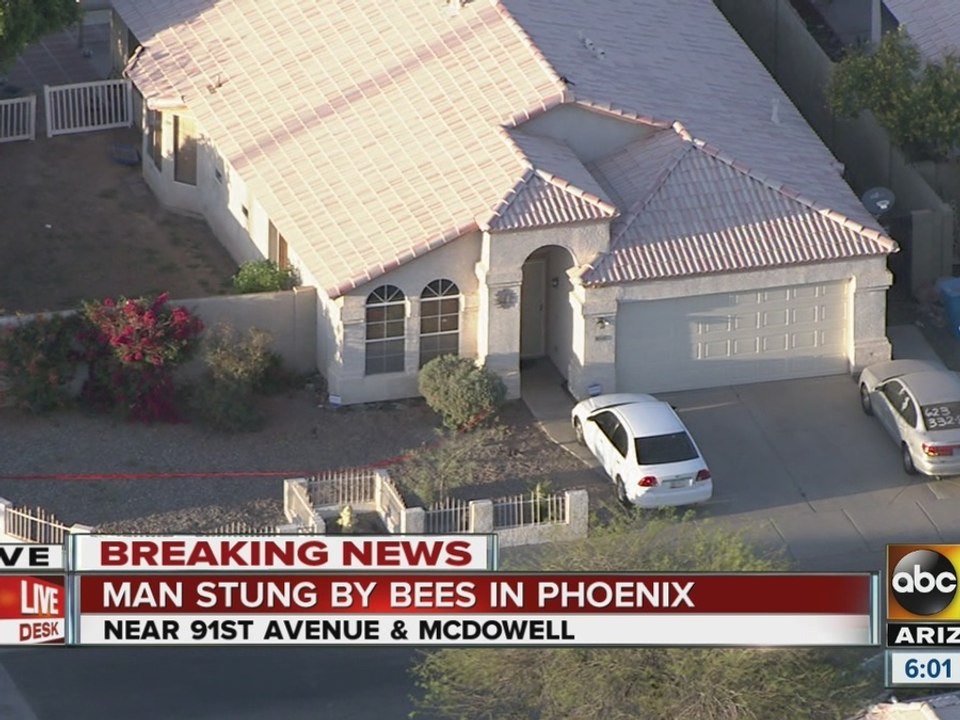 Man stung by bees in Phoenix