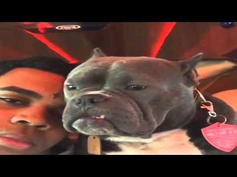 Kevin Gates Funny/Hilarious Instagram/Vines Compilation #8