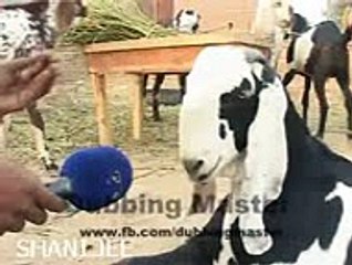 VID-20160213-WA0239_mpeg4