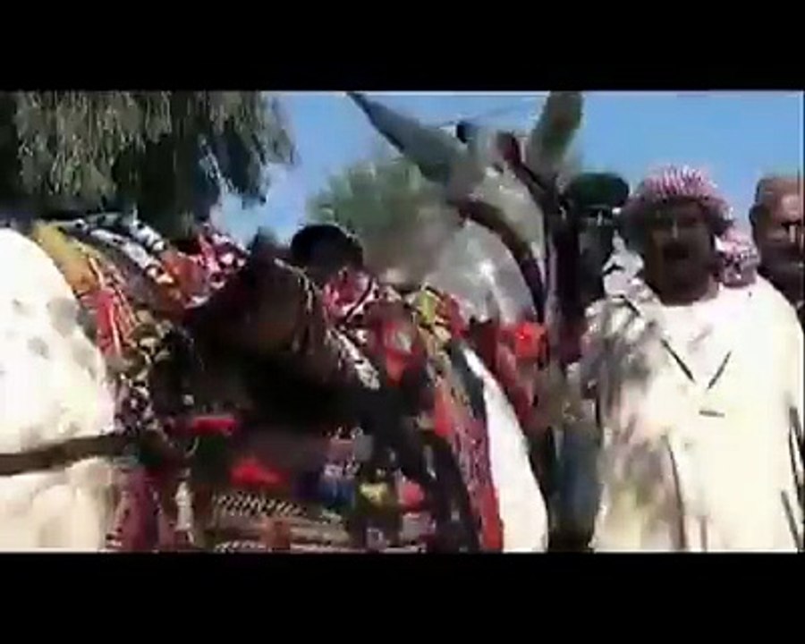 Funny Tazabi TOOTY 2016