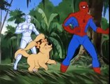 Homem Aranha e seus Incríveis amigos, Os 7 super heróis, Namor, Shana, Dr. Estranho, ep6 4