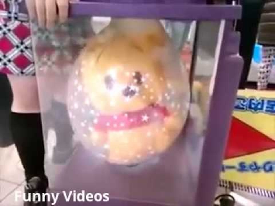 A Special Way To WRAP The Toy!