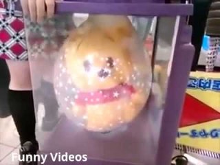 A Special Way To WRAP The Toy!