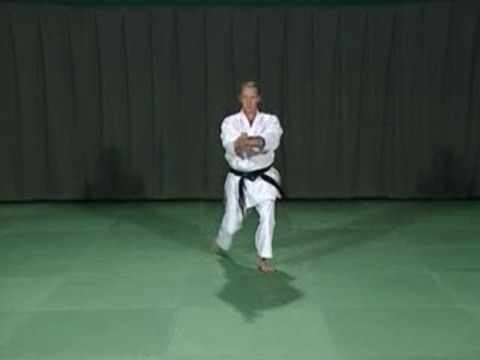 Démo du kata Kanku Sho par Yves Bardreau