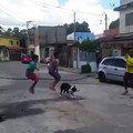 Mira como este perro puede saltar la soga (No lo vas a creer)