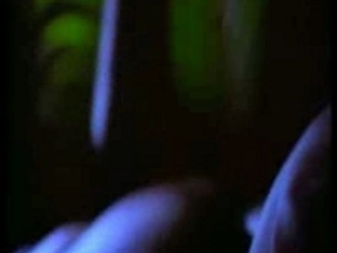 Shabba Ranks - Mr Loverman-