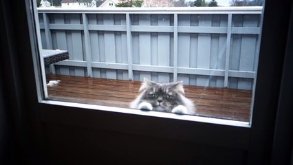 А что это вы тут делаете, а?