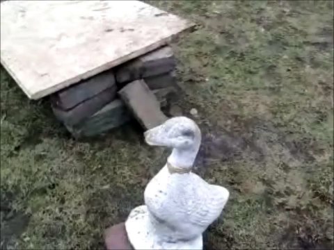 HOE KRIJG JE DE KOP VAN EEN BEELD ER AF?? ZO DUS!!!