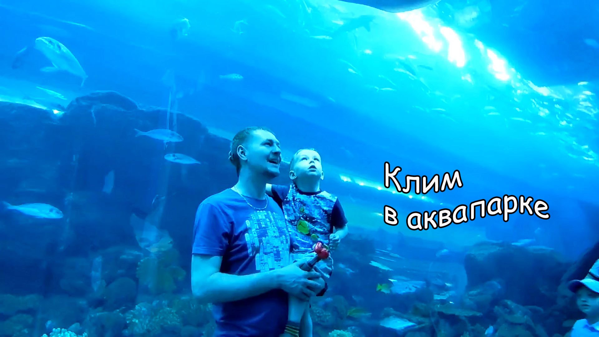Дубайский аквариум и подводный зоопарк путешествия Клима .
